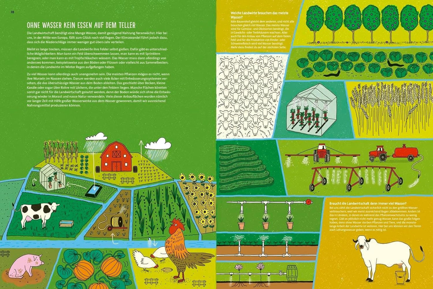 Wasser ist Leben: Kindersachbuch für Mädchen und Jungen ab 8 Jahren │ Hochwertiges Geschenk mit tollen Bildern und spannenden Infos rund um die Themen Wasserkreislauf, Naturschutz und Klima