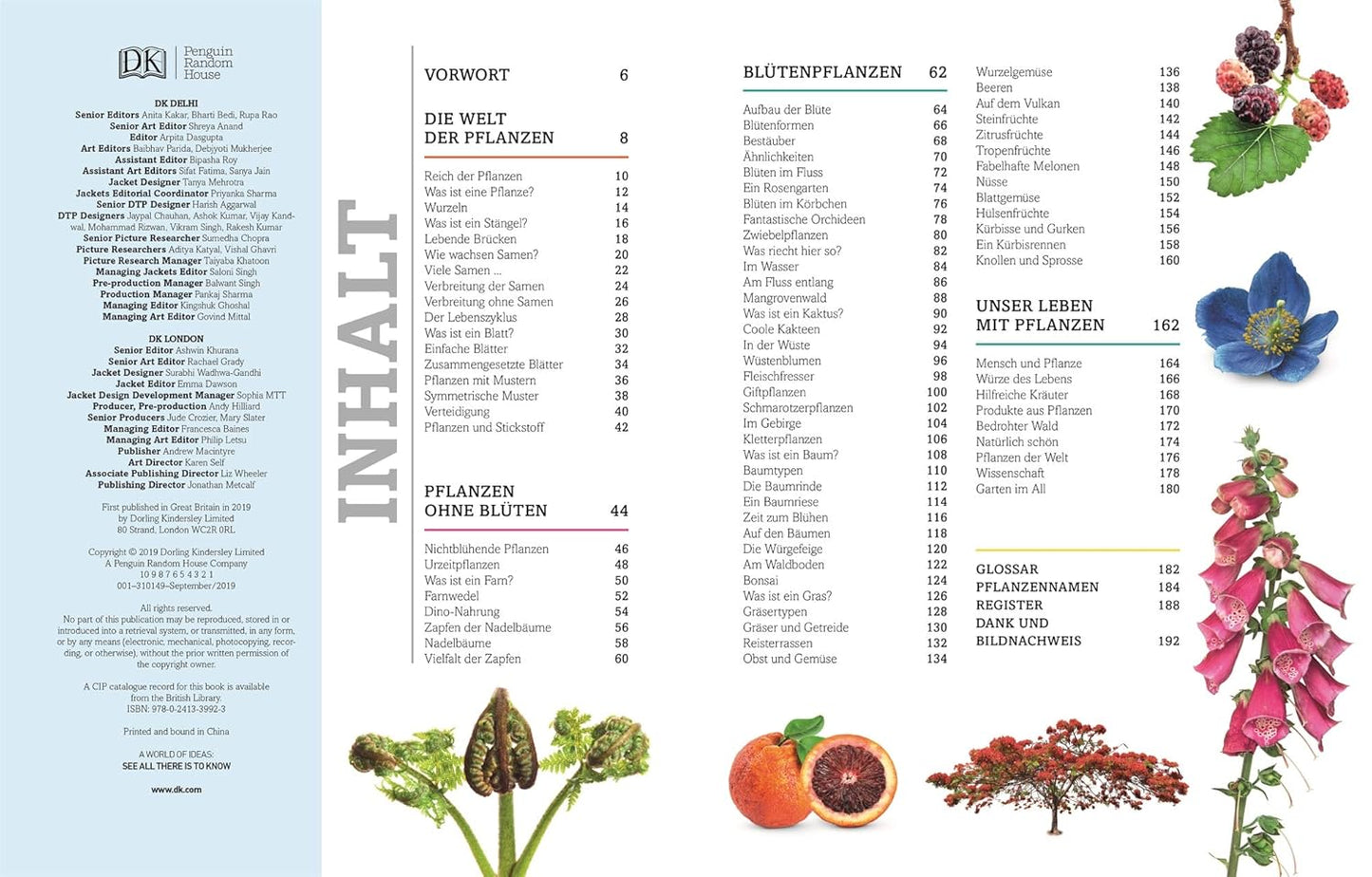Unsere Welt in 1000 Bildern. Pflanzen: Bäume, Blumen und Gräser. Visuelle Pflanzenkunde anschaulich & kindgerecht erklärt. Für Kinder ab 8 Jahren