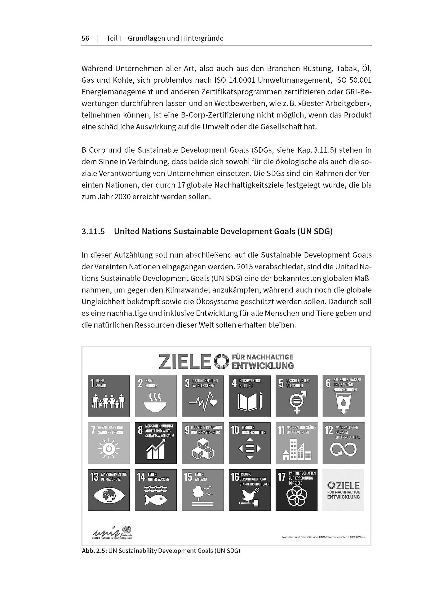 Aprendiendo sostenibilidad: cómo las empresas crean conciencia y estructuras para negocios responsables 