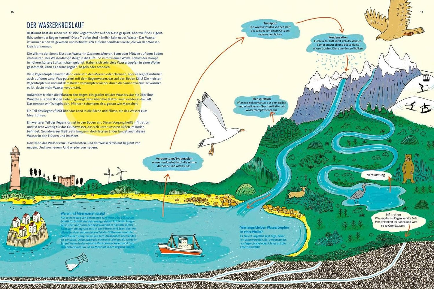 Wasser ist Leben: Kindersachbuch für Mädchen und Jungen ab 8 Jahren │ Hochwertiges Geschenk mit tollen Bildern und spannenden Infos rund um die Themen Wasserkreislauf, Naturschutz und Klima