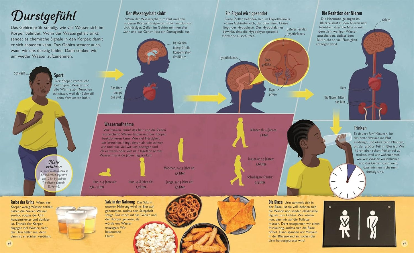 Wasser: Der Quelle des Lebens auf der Spur. Mit Seitenweise Fakten über das wichtigste Element der Erde. Für Kinder ab 7 Jahren.