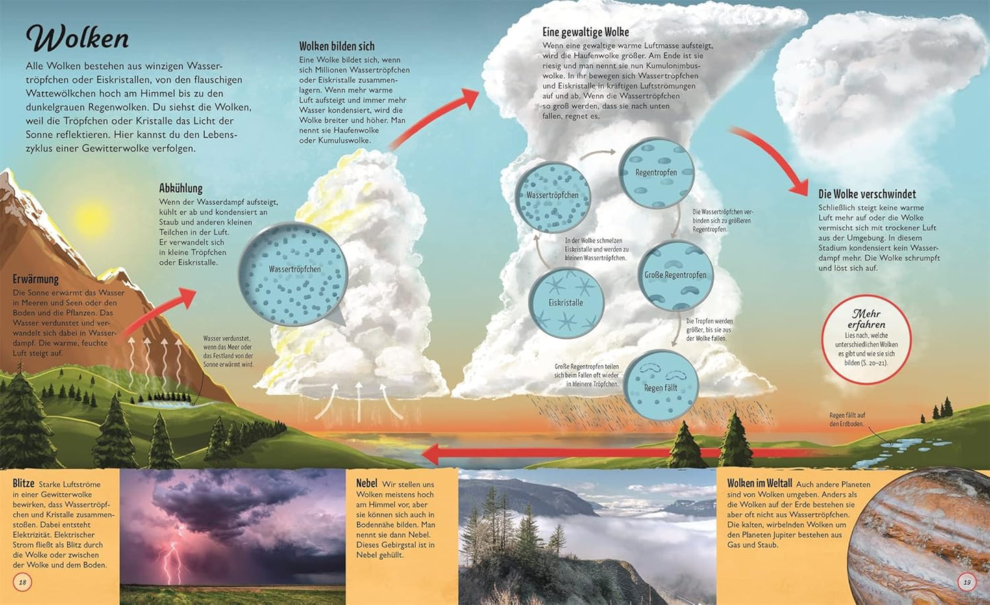 Wasser: Der Quelle des Lebens auf der Spur. Mit Seitenweise Fakten über das wichtigste Element der Erde. Für Kinder ab 7 Jahren.
