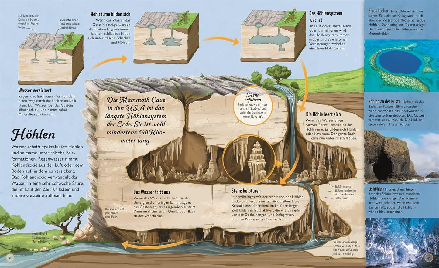 Wasser: Der Quelle des Lebens auf der Spur. Mit Seitenweise Fakten über das wichtigste Element der Erde. Für Kinder ab 7 Jahren.