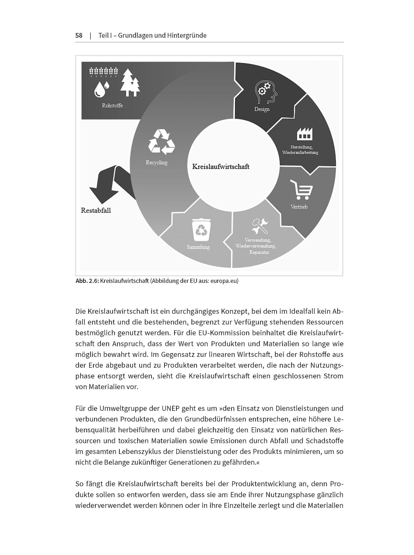 Aprendiendo sostenibilidad: cómo las empresas crean conciencia y estructuras para negocios responsables 