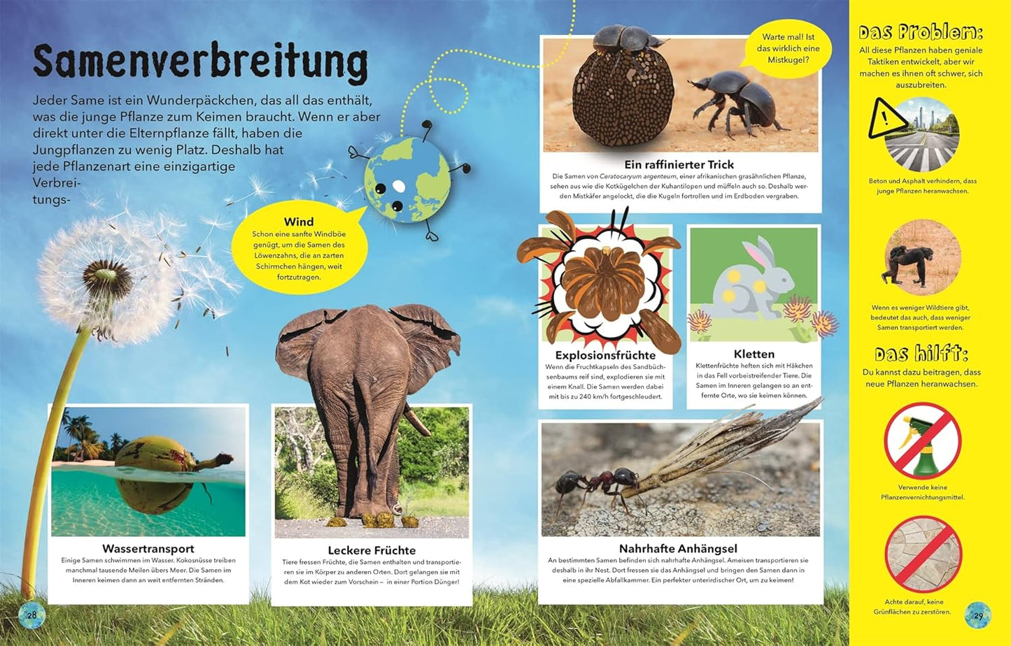 Educational book page about seed dispersal with illustrations and text.
