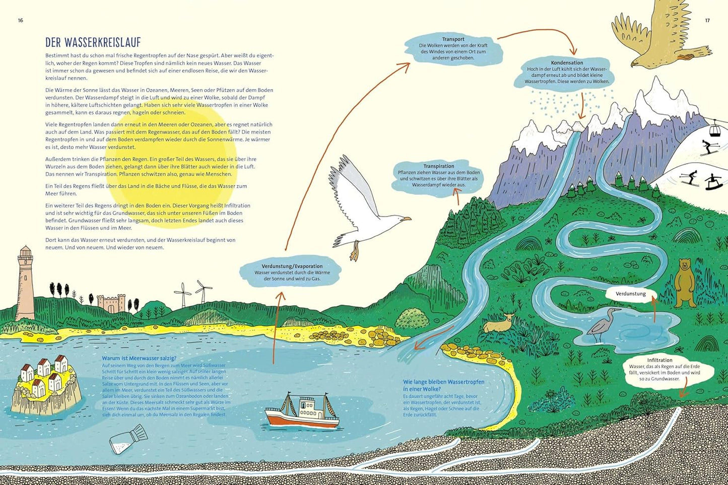 Wasser ist Leben: Kindersachbuch für Mädchen und Jungen ab 8 Jahren │ Hochwertiges Geschenk mit tollen Bildern und spannenden Infos rund um die Themen Wasserkreislauf, Naturschutz und Klima