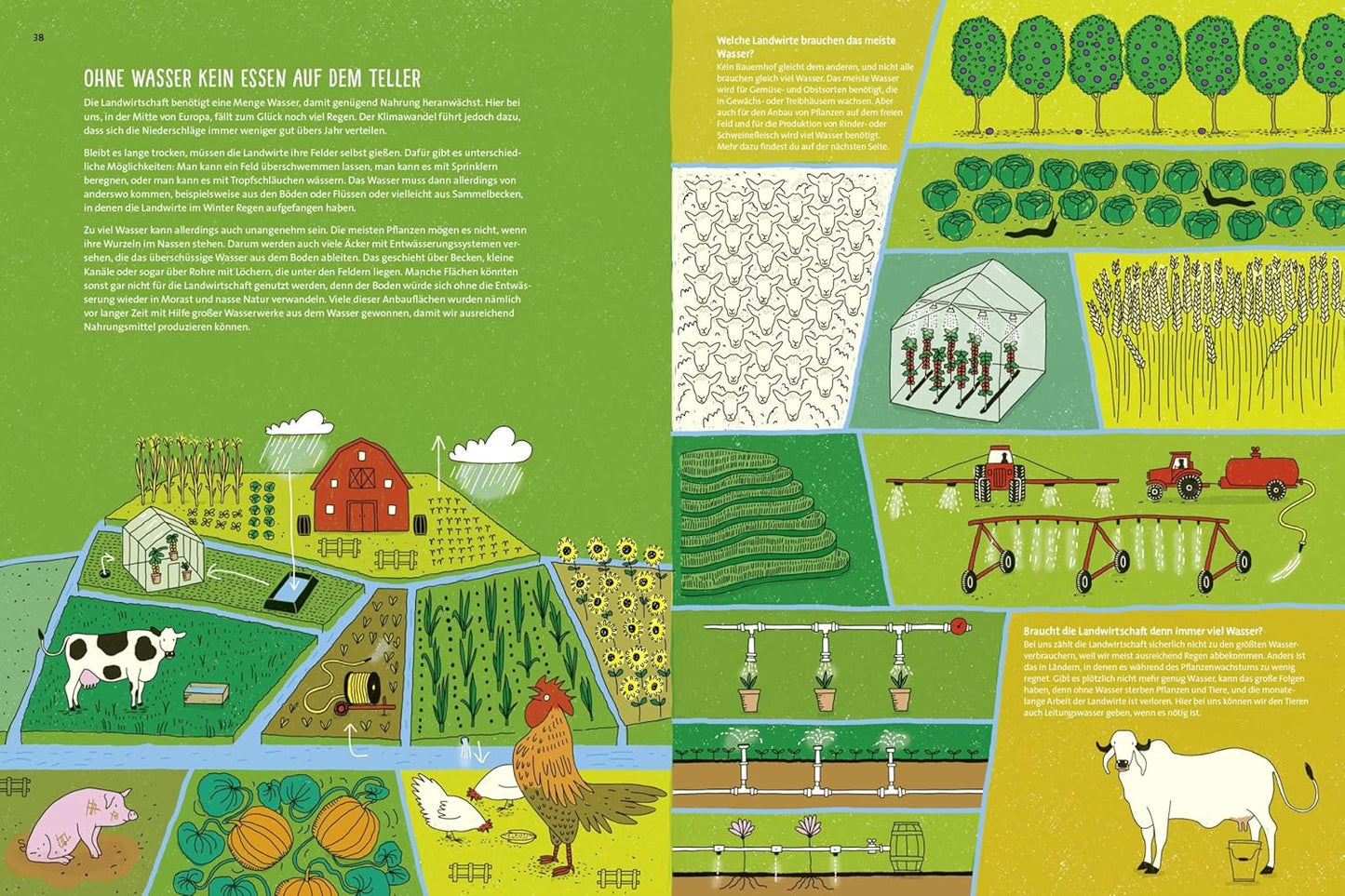 Wasser ist Leben: Kindersachbuch für Mädchen und Jungen ab 8 Jahren │ Hochwertiges Geschenk mit tollen Bildern und spannenden Infos rund um die Themen Wasserkreislauf, Naturschutz und Klima