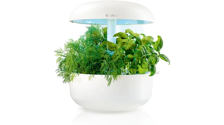 Bosch SmartGrow 6 with fresh herbs growing under LED light in a compact, white indoor gardening system