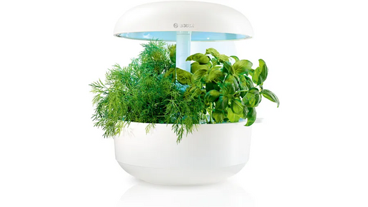 Bosch SmartGrow 6 with fresh herbs growing under LED light in a compact, white indoor gardening system