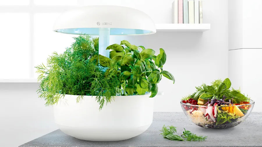 Bosch SmartGrow 6 indoor garden with fresh herbs next to a vibrant salad bowl on a kitchen counter