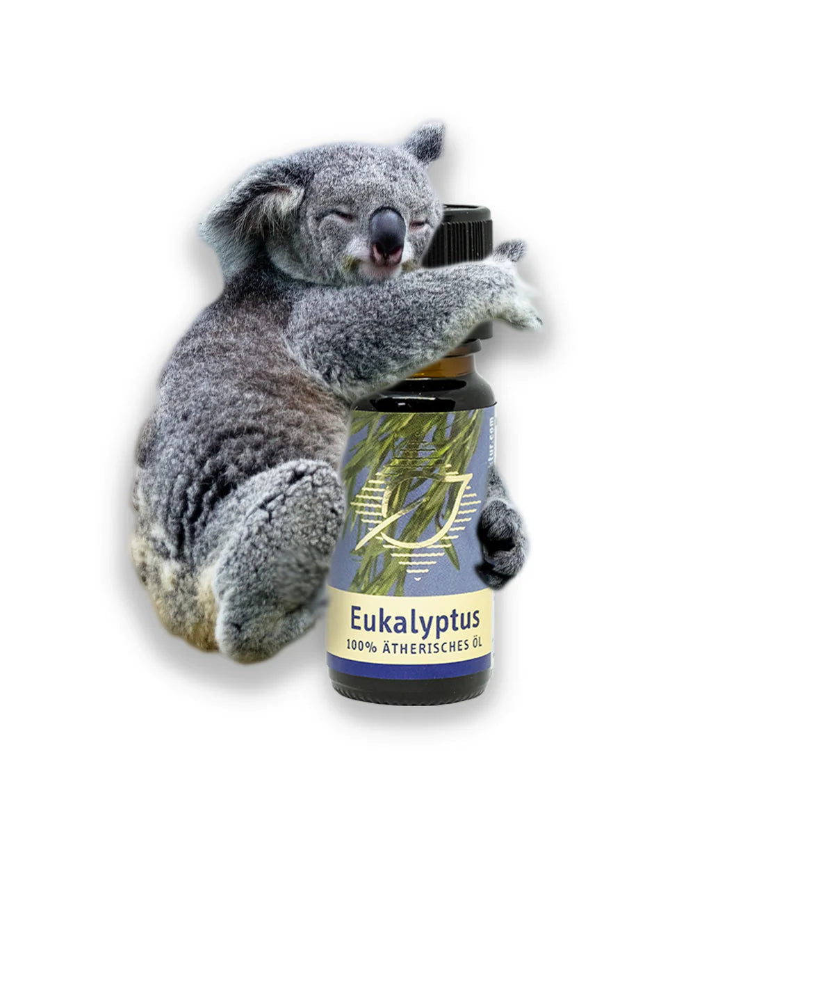 Organic Eucaliptus Essential Oil