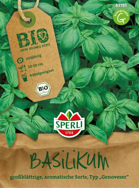 Organic Genovese basil seeds by Sperli, aromatic large-leaf variety ideal for pots and home herb gardens