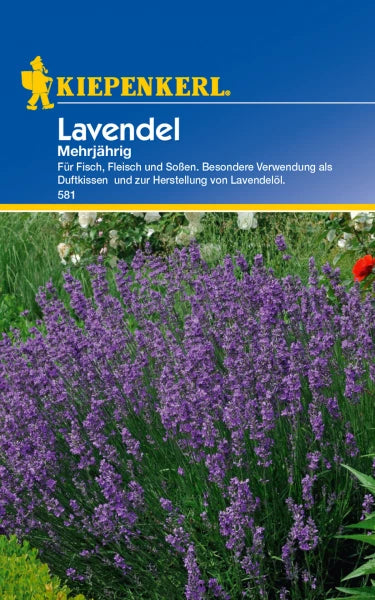 Seed packet for Lavendel by Kiepenkerl, perennial herb ideal for home gardens, pots or balcony cultivation