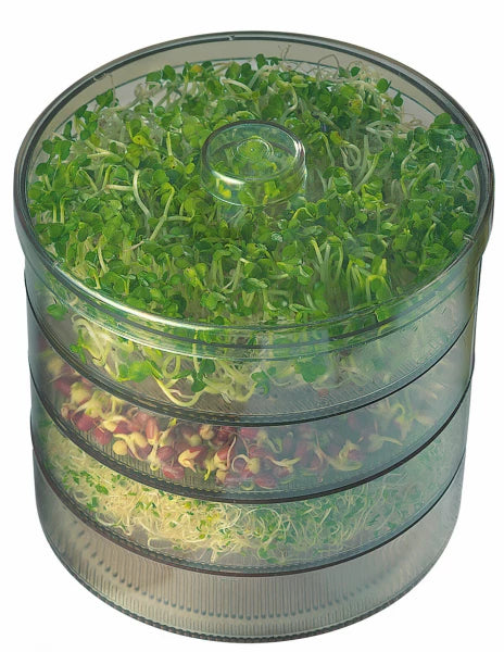 Transparent three-tier sprout box filled with fresh green and red sprouts.