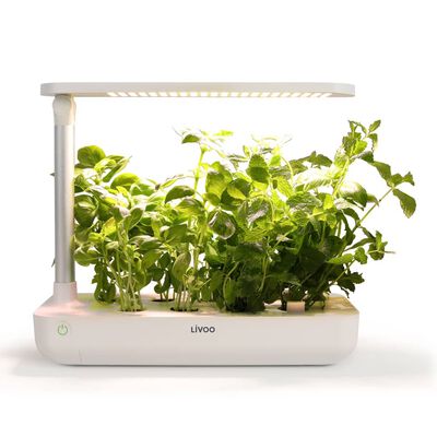 White Livoo indoor garden with LED grow light, nurturing lush green herbs on a clean, minimalist base