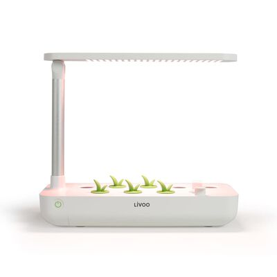 Livoo indoor garden with LED grow light and small green sprouts emerging from six slots in the white base.