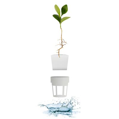 Illustration of a plant's hydroponic growth system with roots, net pot, and water splash below.