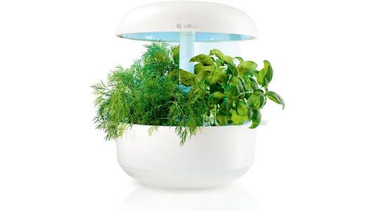 Bosch Smart Indoor Gardening - SmartGrow 6
