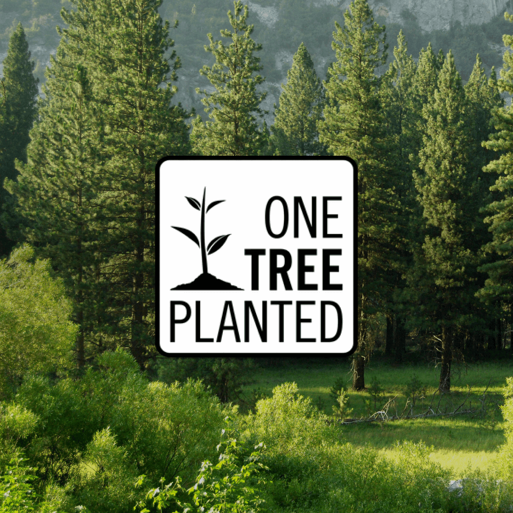 Lush green forest with the "One Tree Planted" logo, symbolizing global reforestation and sustainability efforts.