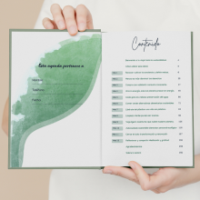 Open Spanish journal "Planeta en Positivo" index