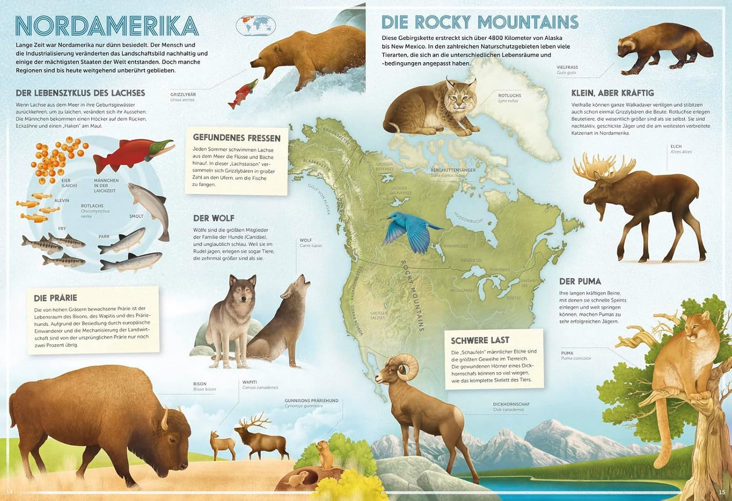 Pädagogisches Poster über die Rocky Mountains mit Tieren und Karte