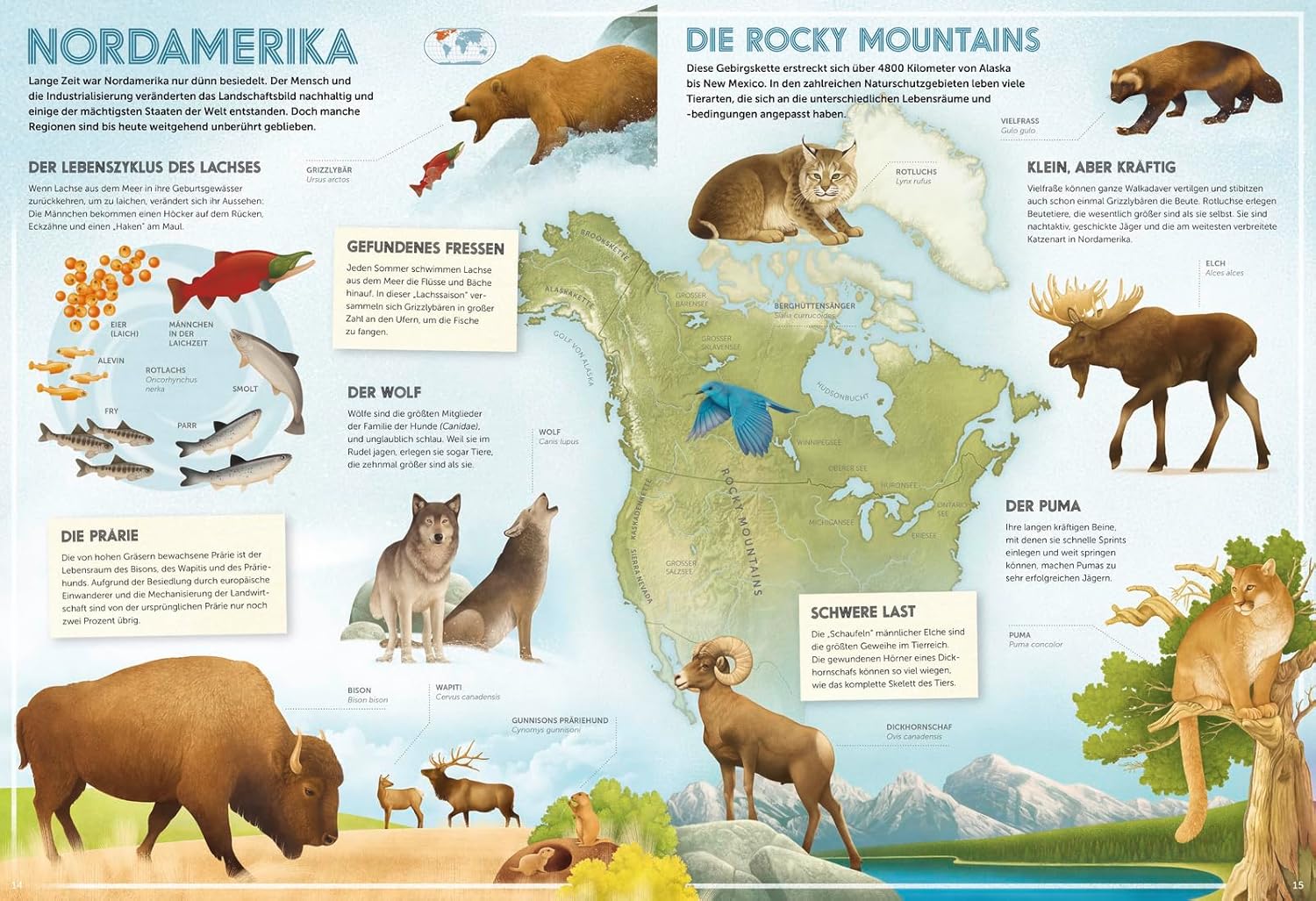 Pädagogisches Poster über die Rocky Mountains mit Tieren und Karte