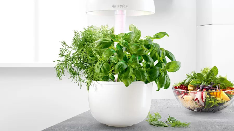 Bosch SmartGrow3 indoor garden growing fresh herbs next to a colorful salad bowl on a modern kitchen counter.