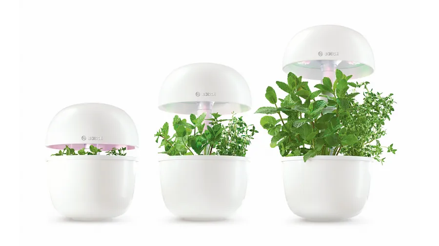 Three Bosch SmartGrow3 indoor gardens showing different growth stages of fresh herbs under LED lights
