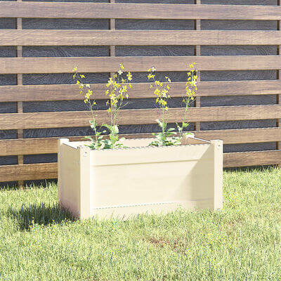 Rectangular white pine wood planter with yellow flowering plants in a garden