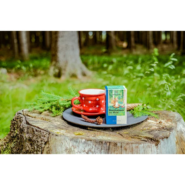 Sonnentor forest tea and red cup with white dots on a tree stump in a lush woodland setting