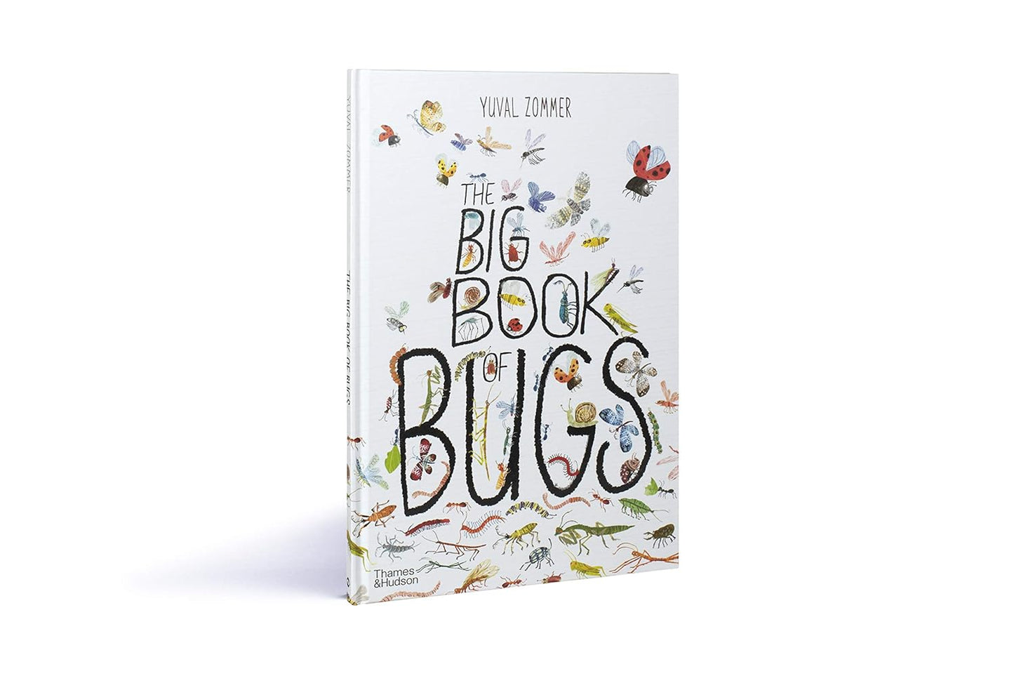 Book titled 'The Big Book of Bugs' with illustrations on a white background