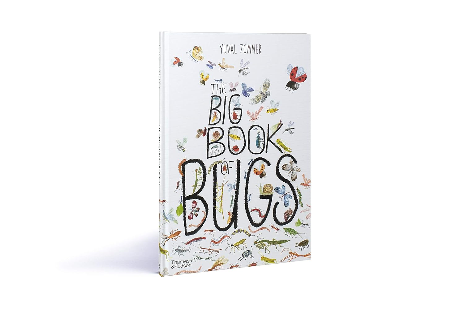 Book titled 'The Big Book of Bugs' with illustrations on a white background