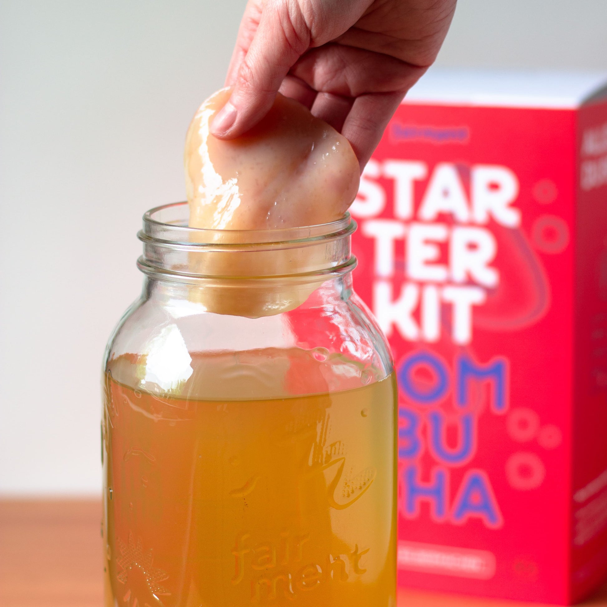 Hand placing a kombucha SCOBY into a Fairment jar, with starter kit box in background on a wooden surface.