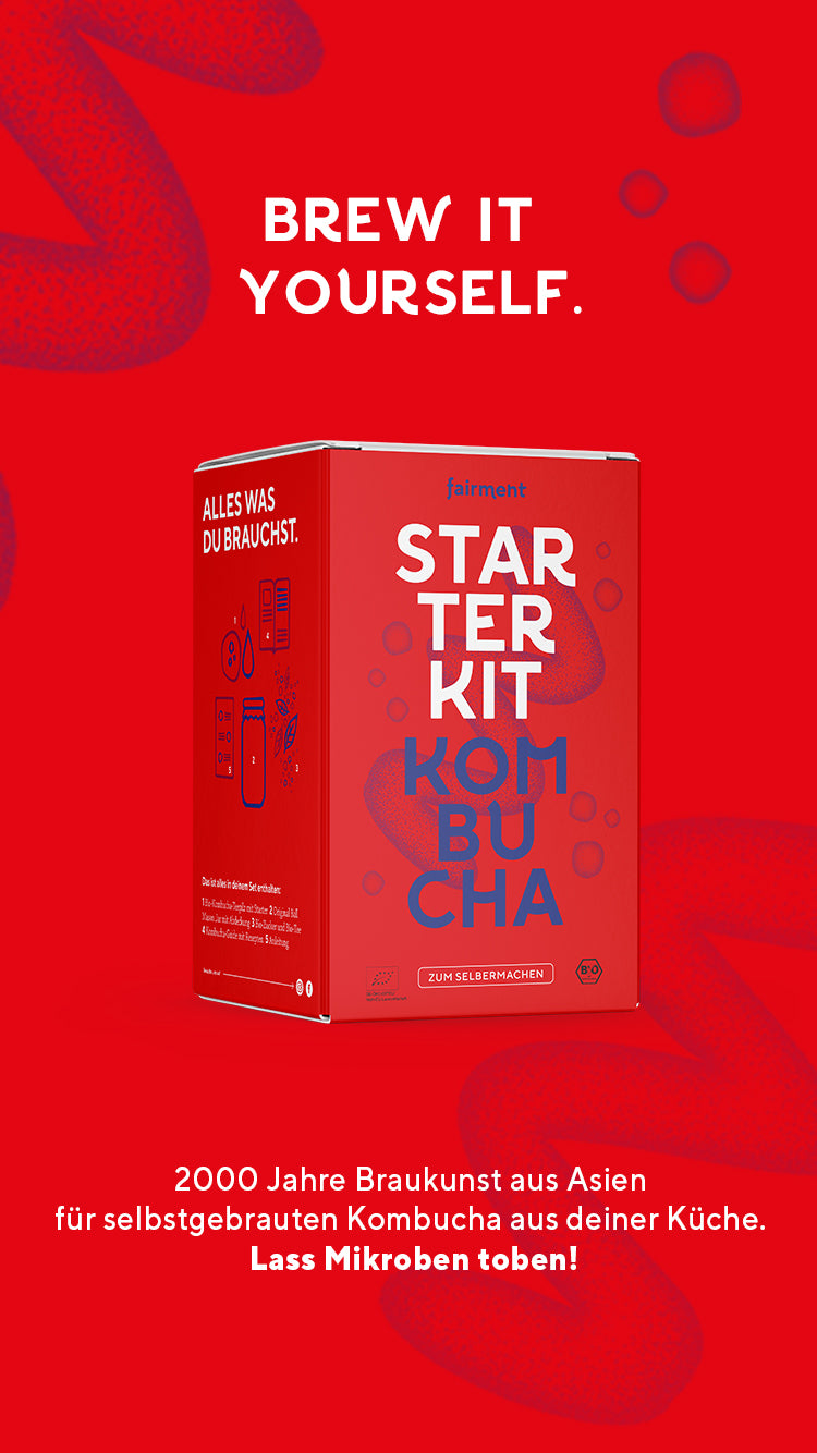 Red Fairment Kombucha Starter Kit box with text "Brew it yourself" and German product info on a bold red background.