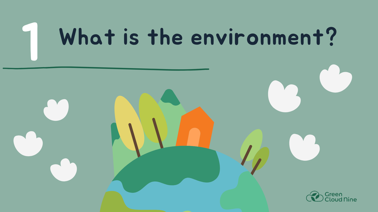Workshop: Let's Learn About Sustainability - English / German
