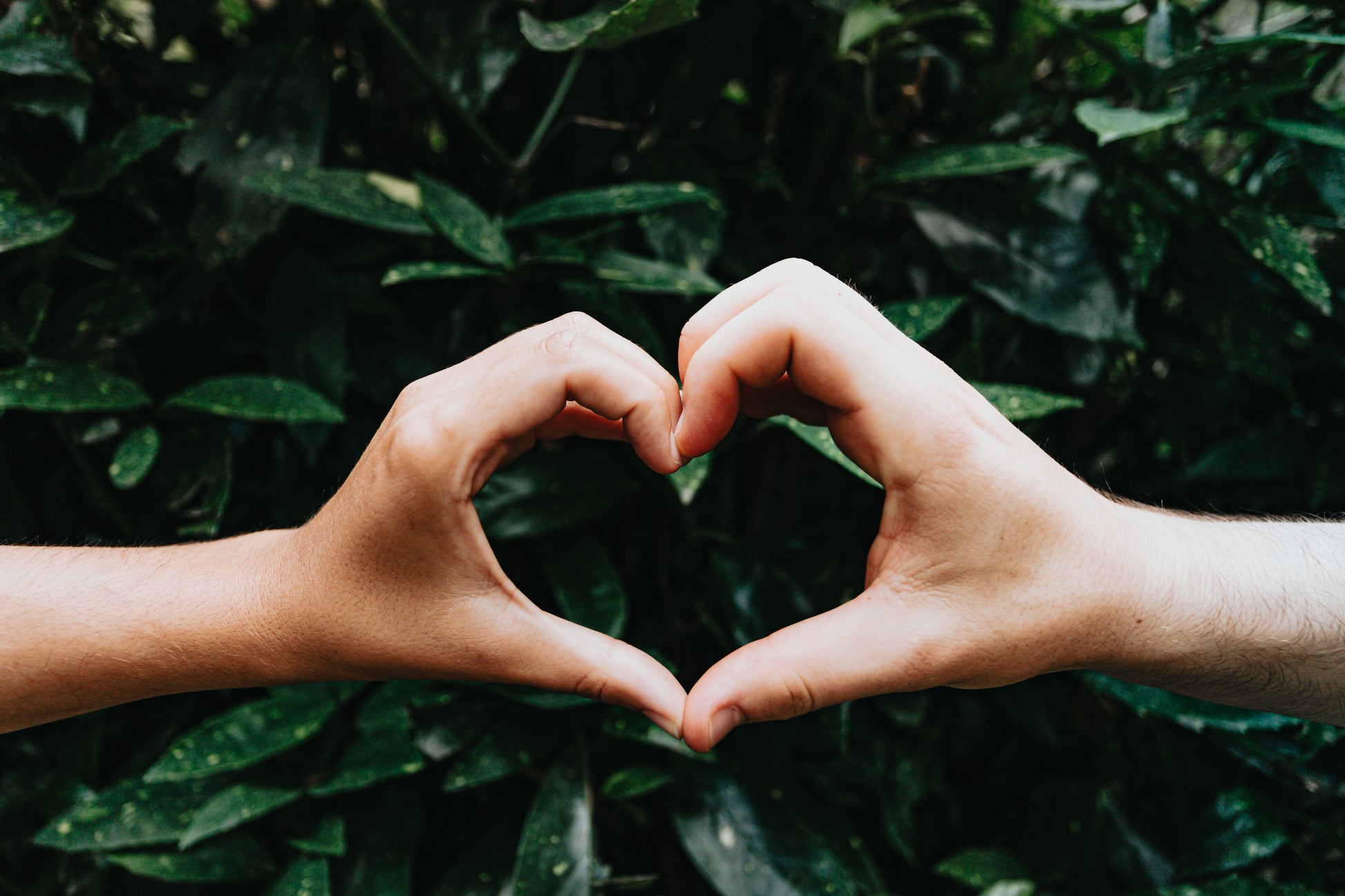Hands form a heart shape against green leaves. For KIND Rituals