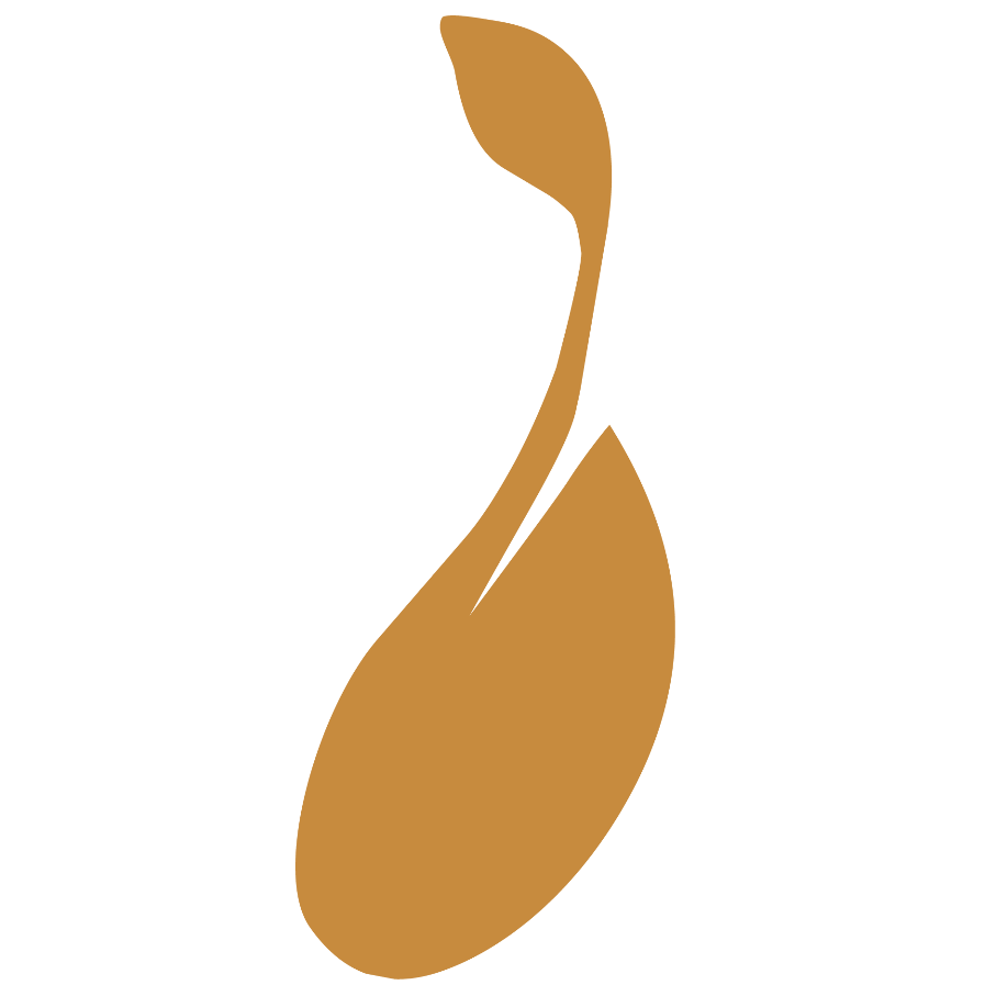 Gold seed and  leaf logo on a white background