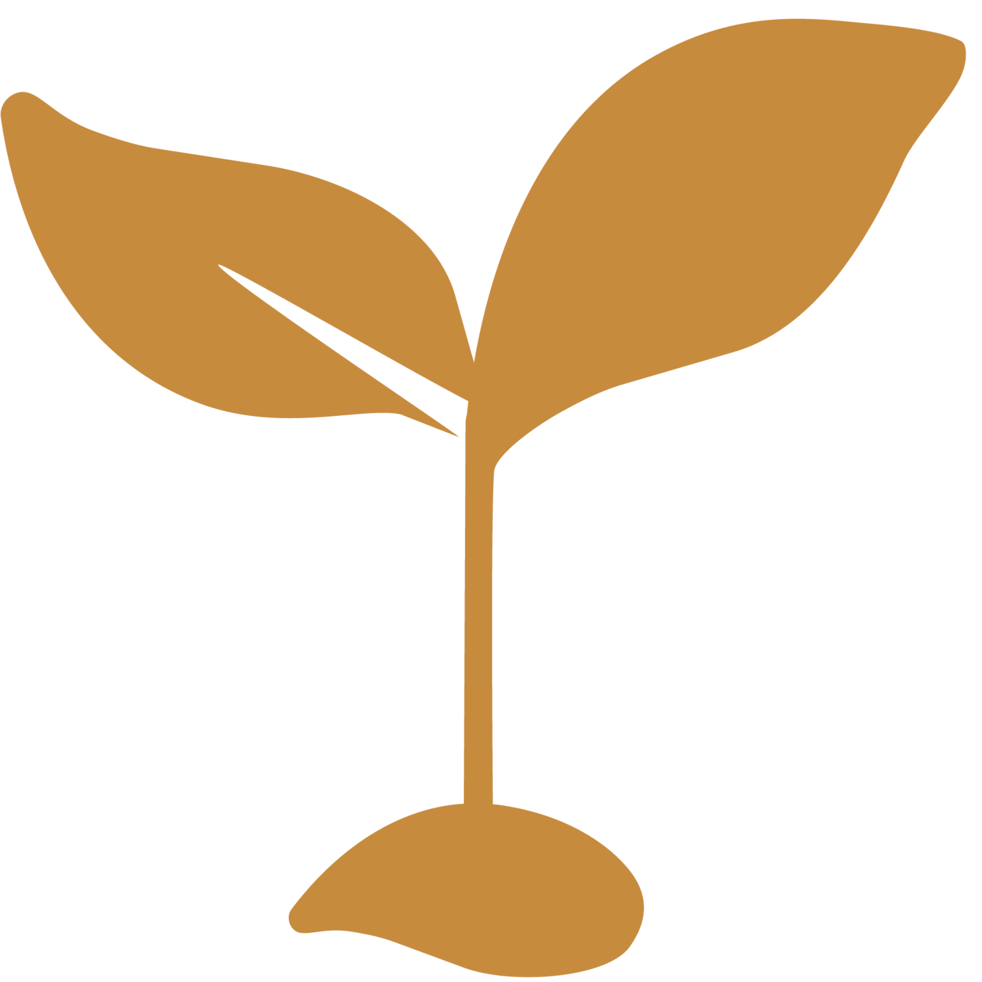 Gold  icon of a plant sprout on a white background