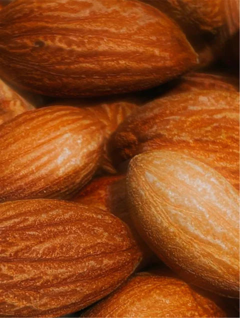 Close-up of almonds with a brown background. For KIND Rituals